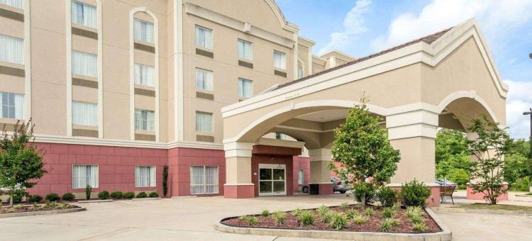 曼德维尔卡温顿舒适套房酒店(Comfort Suites Mandeville - Covington)图片