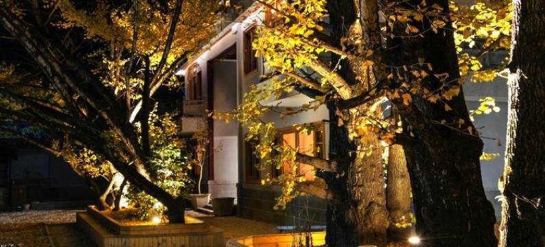 腾冲一画·精品民宿图片