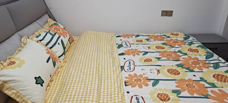 家羊民宿(成子湖路1号分店)图片