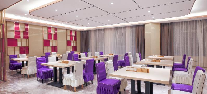 麗枫酒店(天津西站湘潭道店)图片