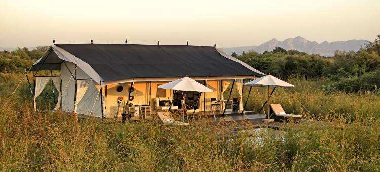 爪哇尔罗莱夏朵酒店(SUJÁN Jawai - Relais & Chateaux)图片