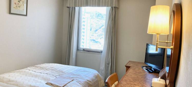 岩国城市观景酒店(Iwakuni City View Hotel)图片