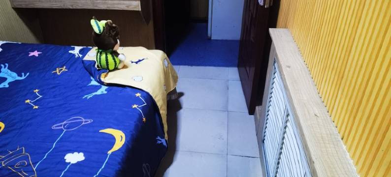 你在滨海的家客栈(杨树街分店)图片