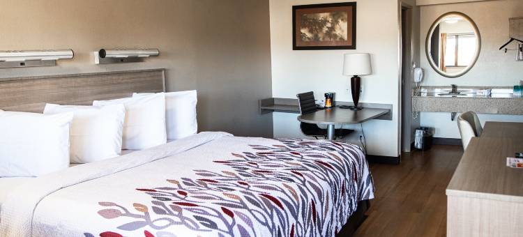 红顶酒店-罗彻斯特亨丽埃塔(Red Roof Inn Rochester - Henrietta)图片