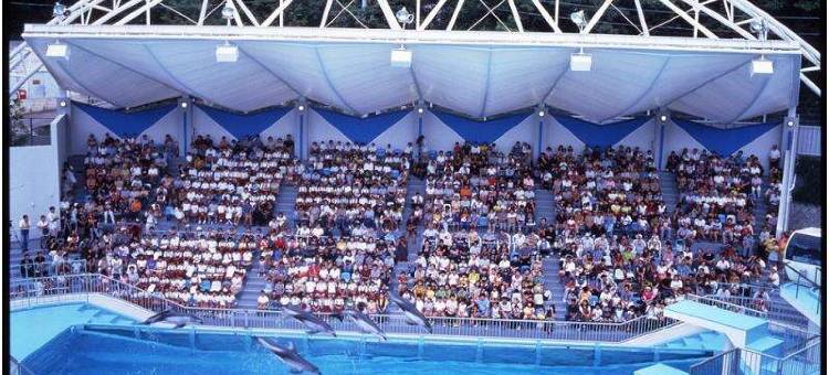 新威尔城汤河原酒店(New Welcity Yugawara)图片