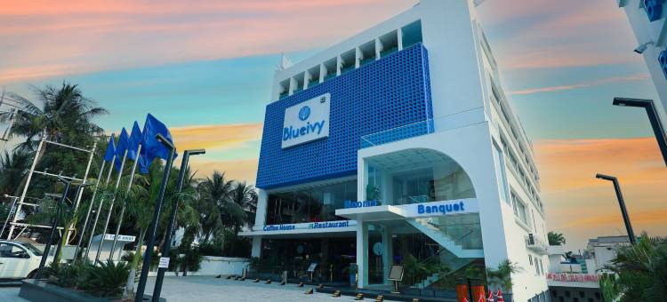 布鲁艾维酒店(Hotel Blueivy Anand)图片