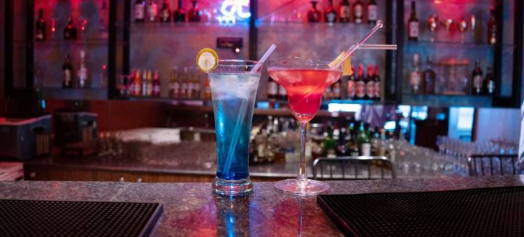 苏尼塔精英酒店(Sunita Elite)图片