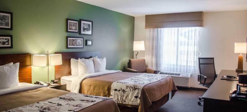 自由广场I-65附近舒眠套房酒店(Sleep Inn & Suites Near Liberty Place I-65)图片