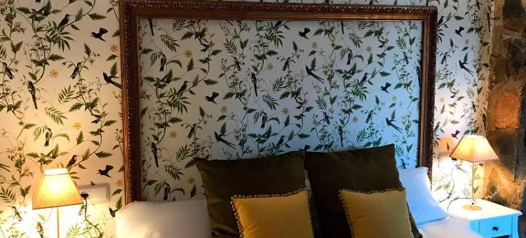 莱昂多米多乡村青年旅舍(Leon Dormido Rooms & Apartments)图片