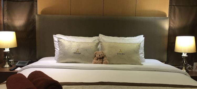 素坤逸20巷莎玛套房酒店(Syama Suite Sukhumvit 20)图片