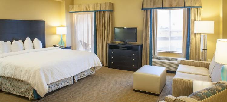 希尔顿欢朋套房酒店-圣彼得斯堡市区(Hampton Inn & Suites St. Petersburg/Downtown)图片
