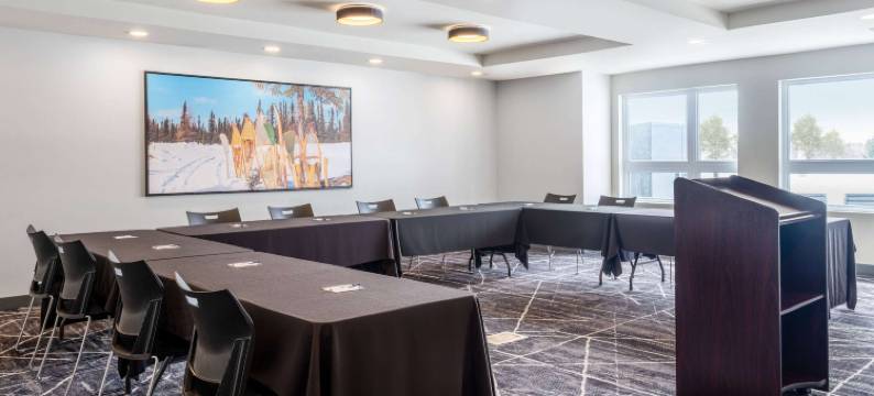 堪纳塔渥太华西温德姆麦客达酒店(Microtel Inn & Suites by Wyndham Kanata Ottawa West)图片