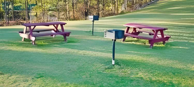 华纳罗宾速8酒店(Super 8 by Wyndham Warner Robins)图片