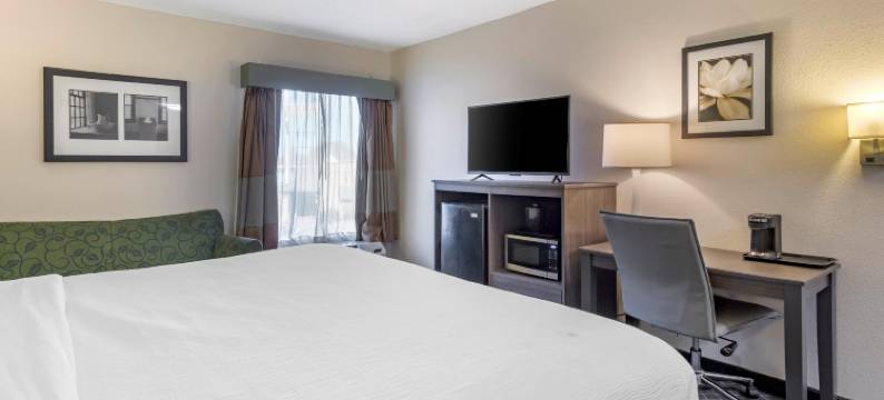 品质旅舍(Quality Inn)图片