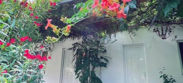 Naza花园别墅(Garden Villa Naza)图片