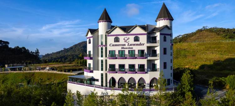 金马伦薰衣草豪宅玩耍酒店(Cameron Lavender Mansion)图片