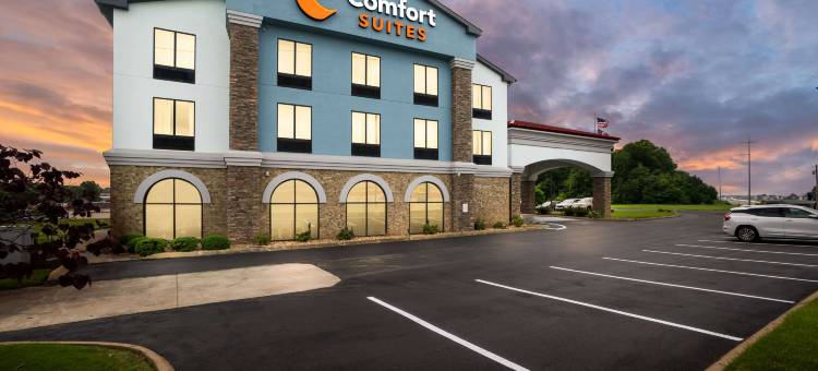 杰克逊I-40舒适套房酒店(Comfort Suites Jackson I-40)图片