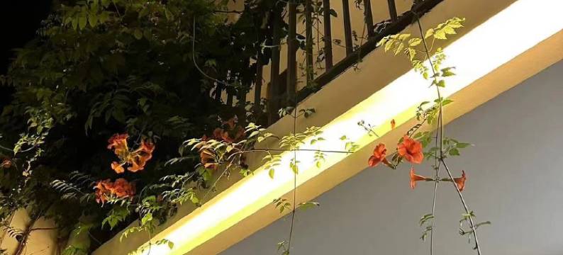 书影小院民宿(三圣花乡幸福梅林)图片