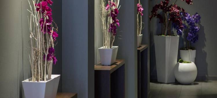 杜多酒店(Dodo Hotel)图片
