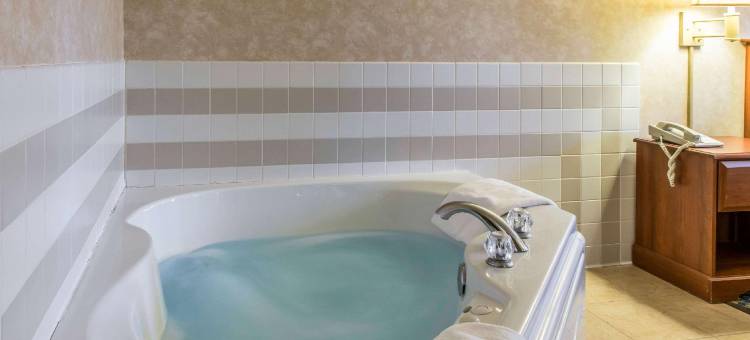 凯艺套房酒店(Quality Inn & Suites)图片