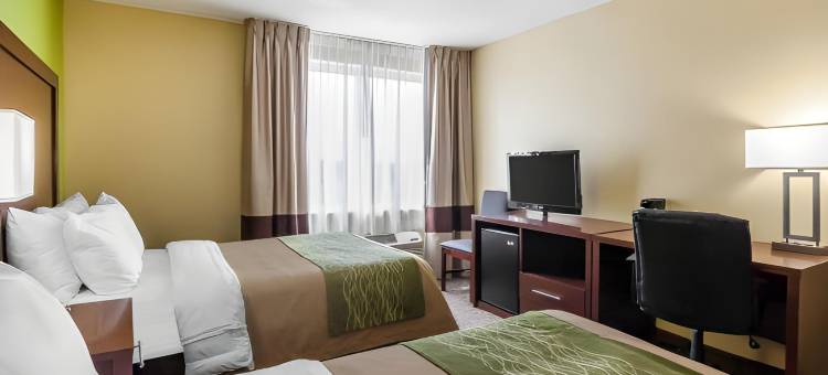 北圣彼得堡舒适酒店(Comfort Inn St Petersburg North)图片