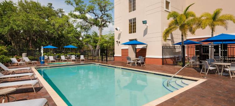 克利尔沃特万枫酒店及套房(Fairfield Inn & Suites Clearwater)图片