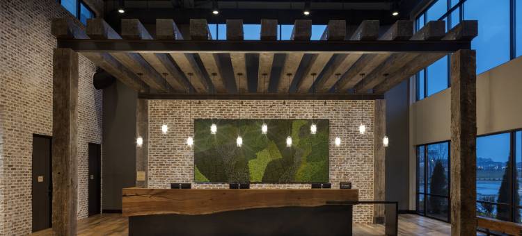 希尔顿保龄球绿色大使套房(Embassy Suites by Hilton Bowling Green)图片