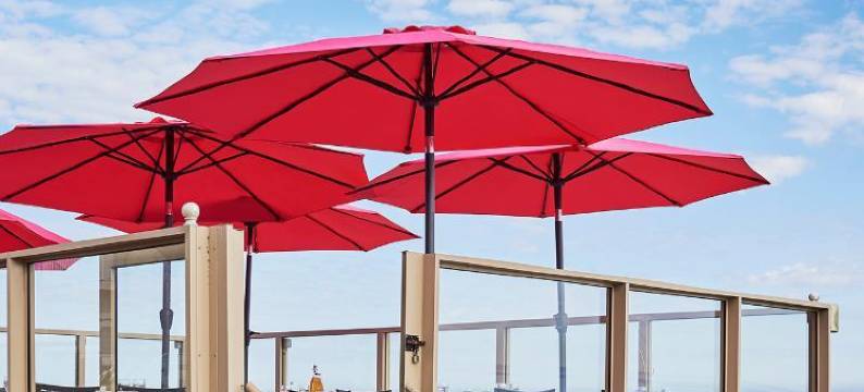 齿板酒店(La Cremaillere Hôtel-Restaurant)图片