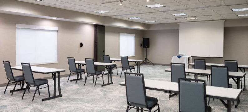 明尼阿波利斯 - 奥茨戈花园温德姆酒店(Wyndham Garden Otsego-Minneapolis)图片