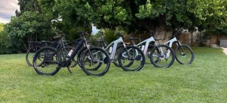 Tenuta Coppa Zuccari图片