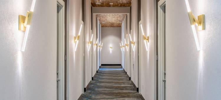 希尔顿欢朋酒店-富兰克林(Hampton Inn Franklin)图片