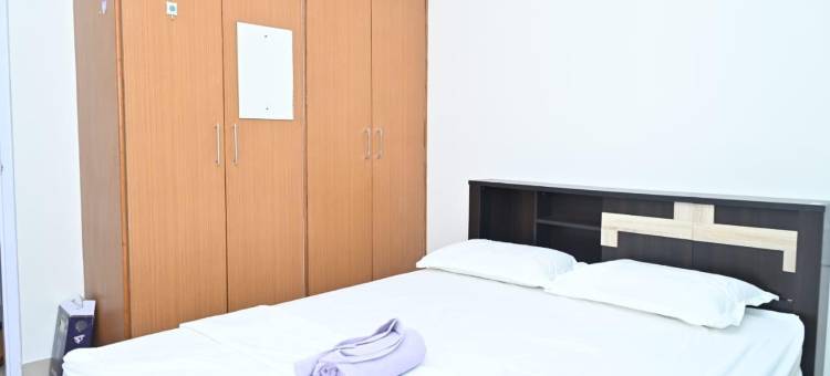 北方光环(Northern Aura)图片