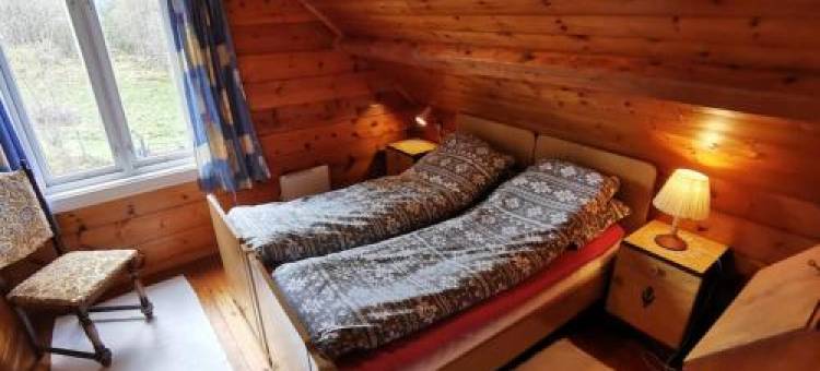 Alone in the Woods with Your Own River Nearby图片