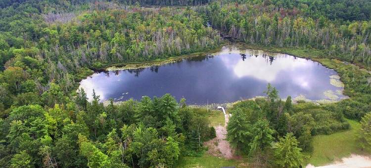 Hot Tub! Outside Traverse City, Sleeps 6 Pet Friendly, Fire Place, Fire Pit图片
