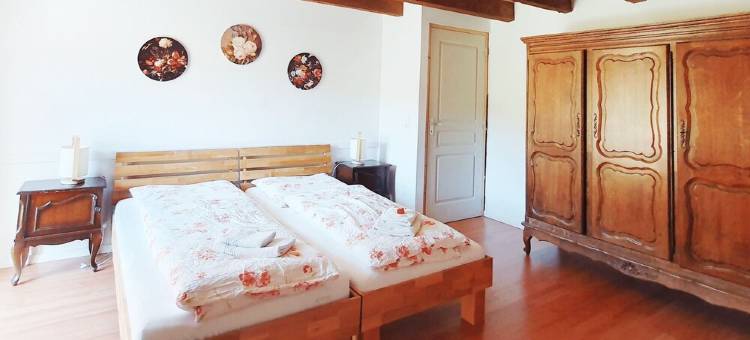 renovated farmhouse for groups and families in nature, dogs welcome, playground图片