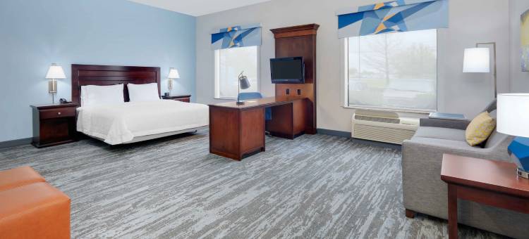 达拉斯阿林顿南欢朋套房酒店(Hampton Inn & Suites Dallas-Arlington-South)图片