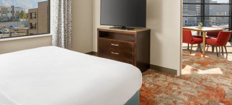 奥格登希尔顿花园酒店(Hilton Garden Inn Ogden)图片