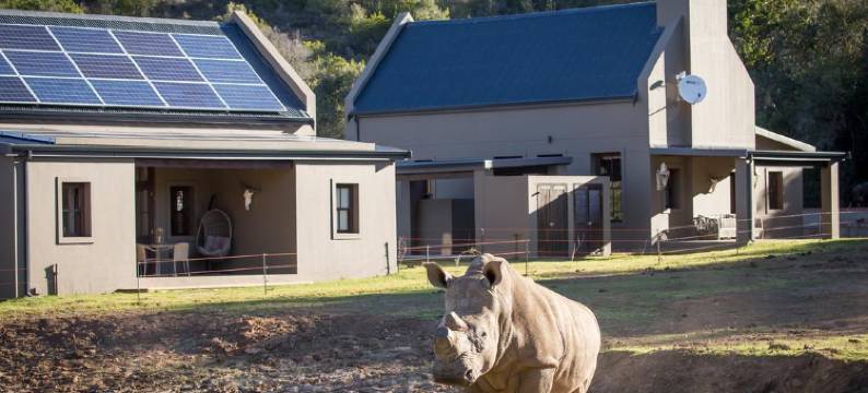 波特利斯科普布西别墅(Botlierskop Bush Villas)图片