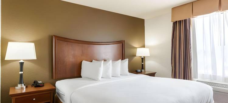 品质套房酒店亨茨维尔大学附近(Quality Suites Huntsville Near University)图片