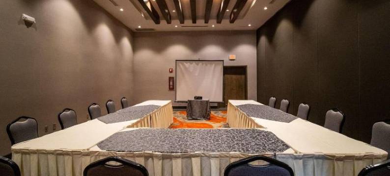 阿来萨沙露伊斯饭店(Hotel Araiza San Luis R.C.)图片