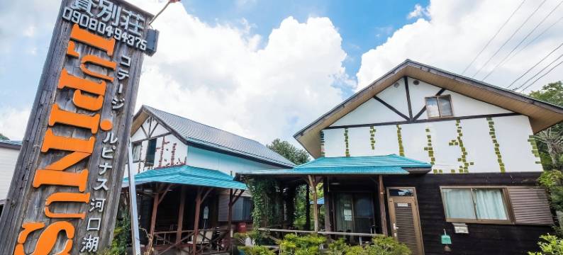 鲁比纳斯河口湖(Lupinus Kawaguchiko)图片