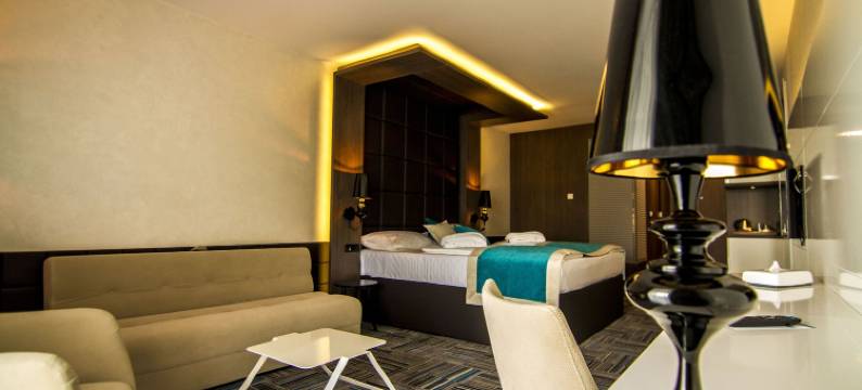 萨拉热窝国会山酒店和温泉水疗度假村(Hotel Hills Sarajevo Congress & Thermal Spa Resort)图片