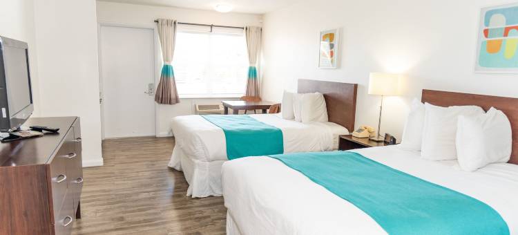 萨拉索塔丽晶套房酒店(Regency Inn & Suites Sarasota)图片