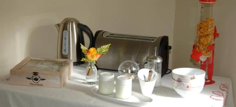 拉格兰奇迪米耶雷酒店(La Grange Dîmière, près de Tours)图片