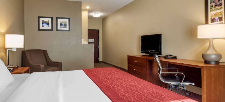 拉塞尔维尔I-40舒适套房酒店(Comfort Inn & Suites Russellville I-40)图片