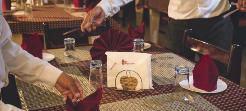 乌代布尔米纳克希酒店(Hotel Meenakshi Udaipur - Family Preffered Hotel)图片