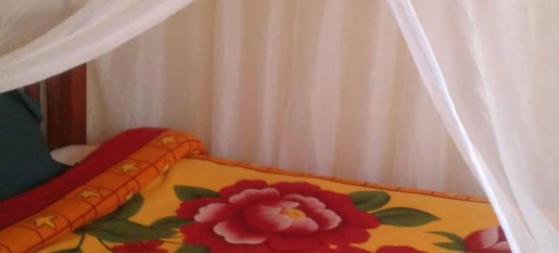 检查点客栈(Check Point Guest House)图片