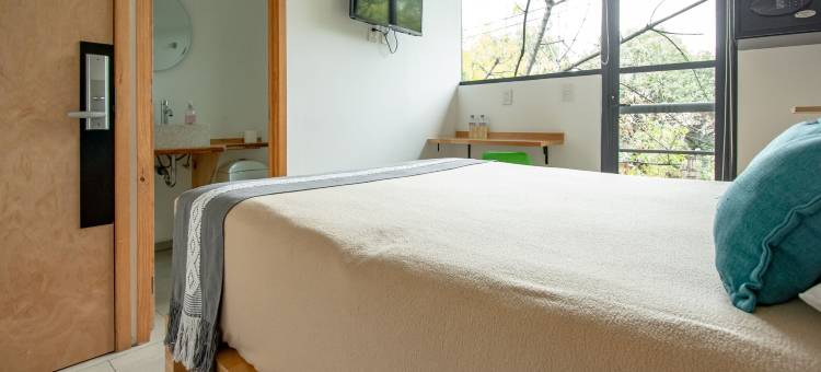 Capital O 特拉萨158酒店(Capital O Hotel Terraza 158)图片