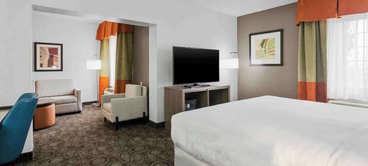 钱德勒-菲尼克斯南I-10舒适酒店(Comfort Inn Chandler - Phoenix South I-10)图片