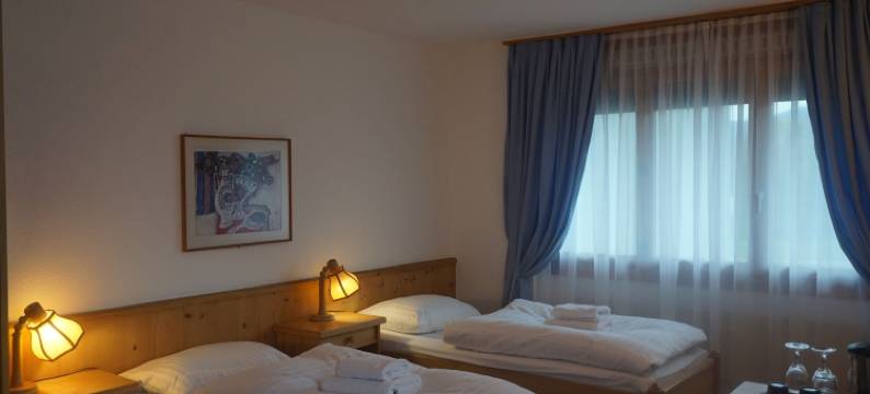 星心酒店(Hotel Sternen)图片